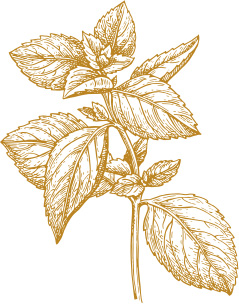 europejska zakopane pattern 2